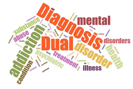 Treatment Plan For Dual Diagnosis: Find The Best Dual Diagnosis Facilities And Treatment Program
